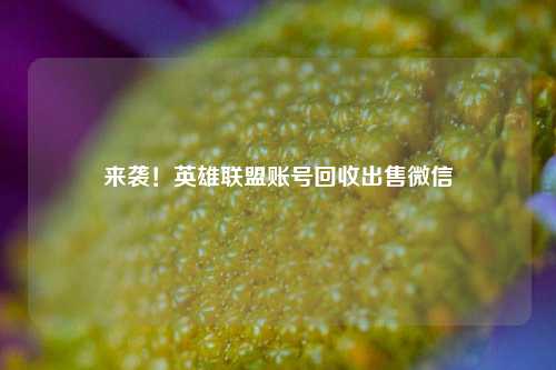 来袭！英雄联盟账号回收出售微信