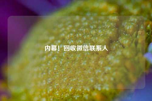 内幕！回收微信联系人