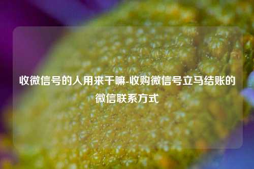 收微信号的人用来干嘛-收购微信号立马结账的微信联系方式