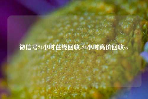 微信号24小时在线回收-24小时高价回收vx