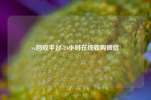 vx回收平台-24小时在线收购微信