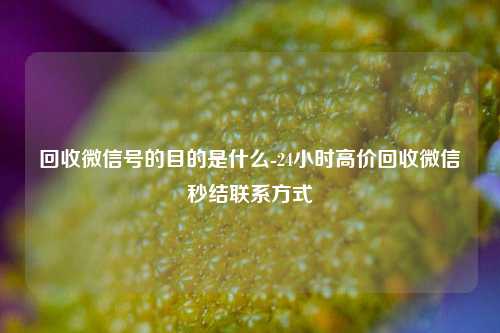 回收微信号的目的是什么-24小时高价回收微信秒结联系方式
