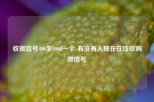 收微信号400至1000一个-有没有人现在在线收购微信号