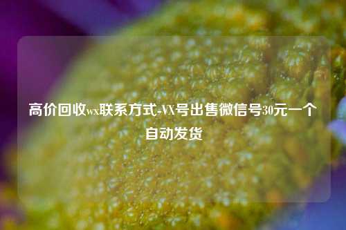 高价回收wx联系方式-VX号出售微信号30元一个自动发货