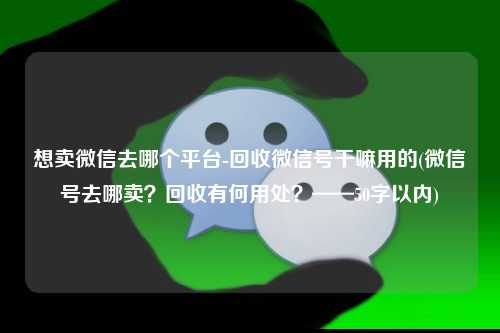 想卖微信去哪个平台-回收微信号干嘛用的(微信号去哪卖？回收有何用处？——50字以内)