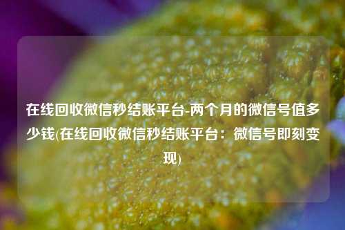 在线回收微信秒结账平台-两个月的微信号值多少钱(在线回收微信秒结账平台：微信号即刻变现)