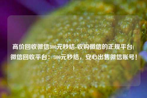 高价回收微信300元秒结-收购微信的正规平台(微信回收平台：300元秒结，安心出售微信账号！)