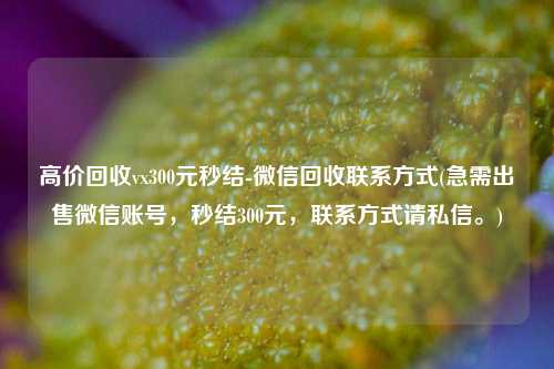 高价回收vx300元秒结-微信回收联系方式(急需出售微信账号，秒结300元，联系方式请私信。)