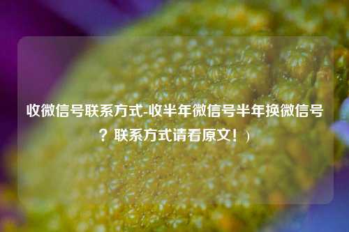 收微信号联系方式-收半年微信号半年换微信号？联系方式请看原文！)