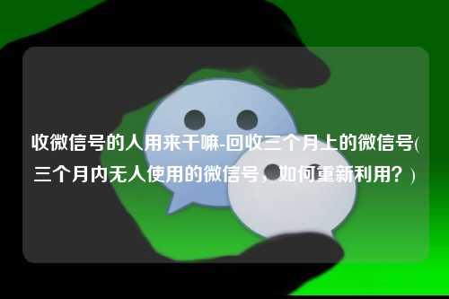 收微信号的人用来干嘛-回收三个月上的微信号(三个月内无人使用的微信号，如何重新利用？)