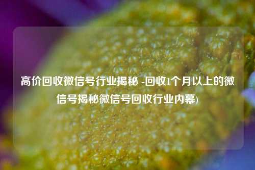 高价回收微信号行业揭秘 -回收1个月以上的微信号揭秘微信号回收行业内幕)