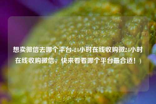 想卖微信去哪个平台-24小时在线收购微24小时在线收购微信，快来看看哪个平台最合适！)