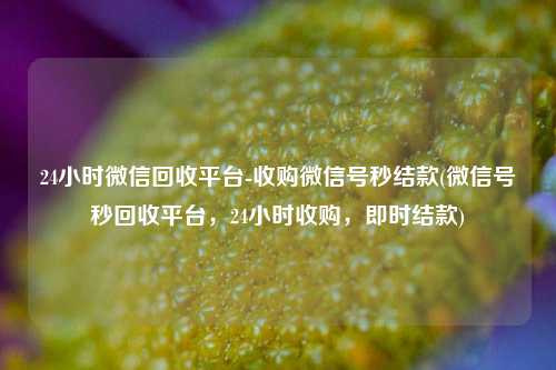 24小时微信回收平台-收购微信号秒结款(微信号秒回收平台，24小时收购，即时结款)