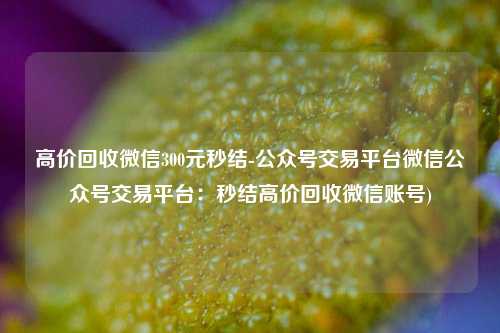高价回收微信300元秒结-公众号交易平台微信公众号交易平台：秒结高价回收微信账号)
