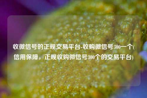 收微信号的正规交易平台-收购微信号300一个(信用保障，正规收购微信号300个的交易平台)