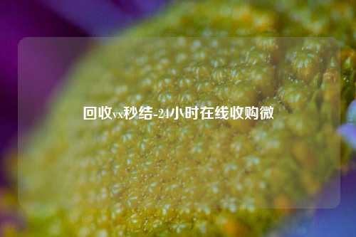 回收vx秒结-24小时在线收购微