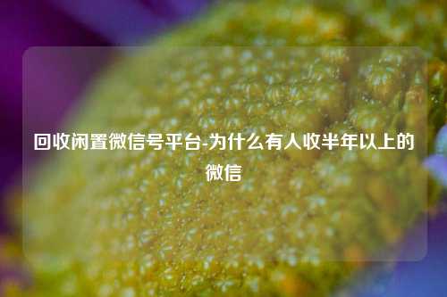 回收闲置微信号平台-为什么有人收半年以上的微信