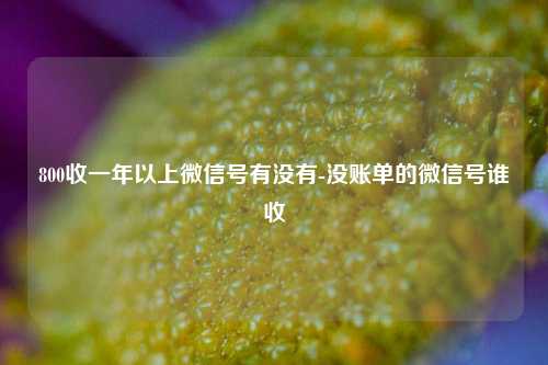 800收一年以上微信号有没有-没账单的微信号谁收