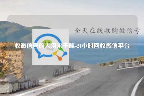 收微信号的人用来干嘛-24小时回收微信平台