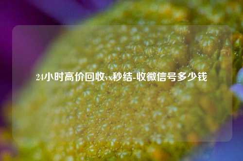 24小时高价回收vx秒结-收微信号多少钱